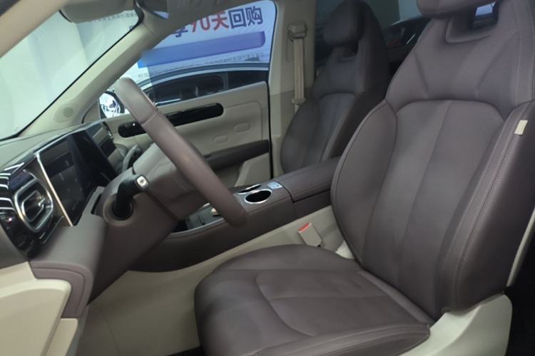 Used Leapmotor C11 2023 Range-Extended 300 Comfort Edition Left Front Seat