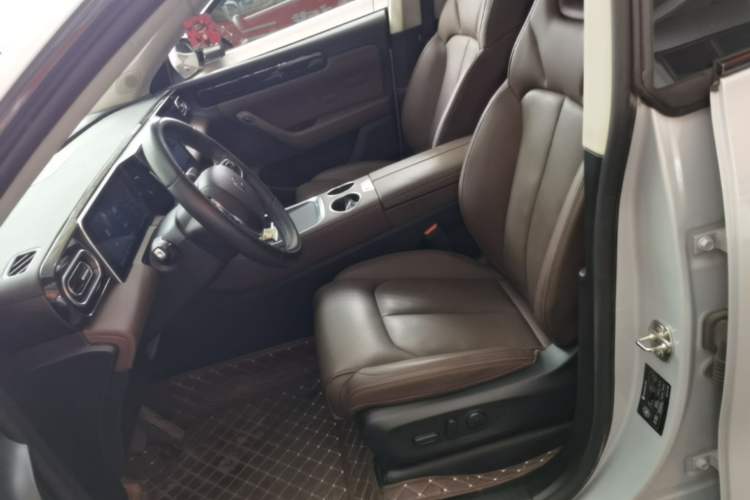 Used Leapmotor C11 2023 Range-Extended 200 Comfort Edition Left Front Seat