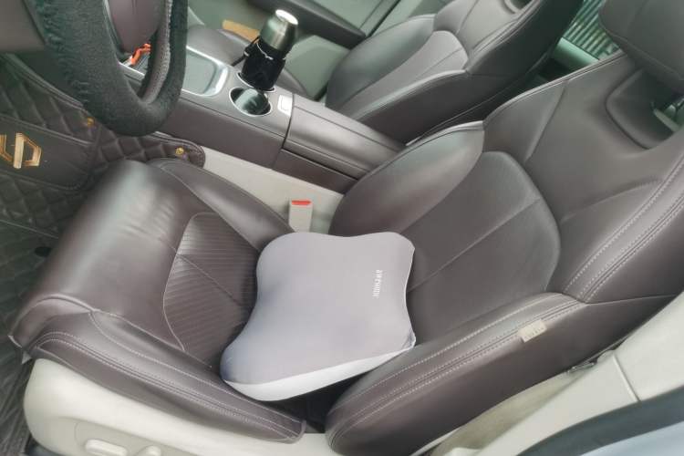 Used Leapmotor C11 2023 Pure Electric 500 Comfort Edition Left Front Seat