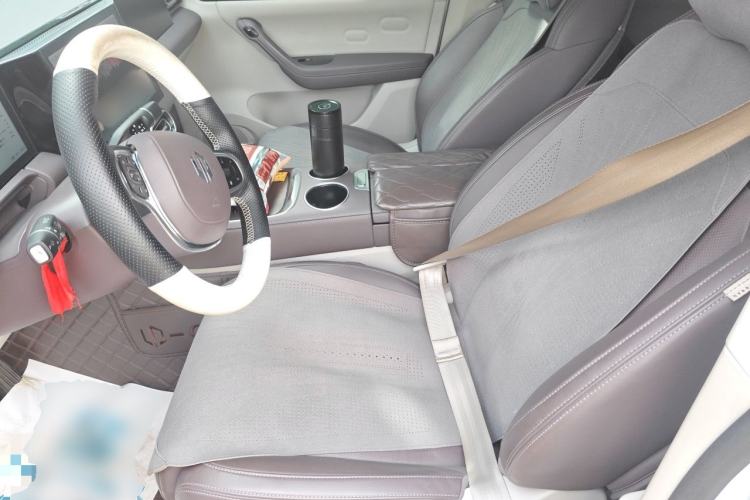Used Leapmotor C11 2023 Pure Electric 500 Comfort Edition Left Front Seat