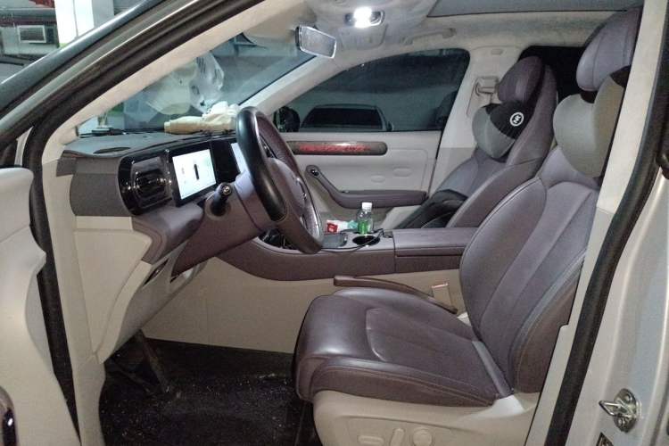 Used Leapmotor C11 2023 Range-Extended 285 Smart Enjoyment Edition Left Front Seat