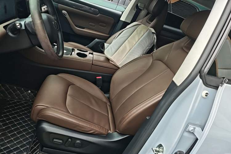 Used Leapmotor C11 2023 Range-Extended 285 Smart Enjoyment Edition Left Front Seat