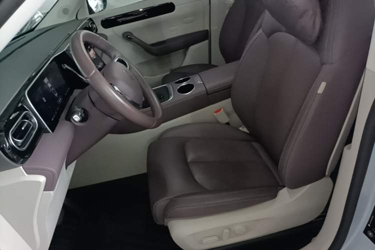 Used Leapmotor C11 2023 Range-Extended 200 Comfort Edition Left Front Seat