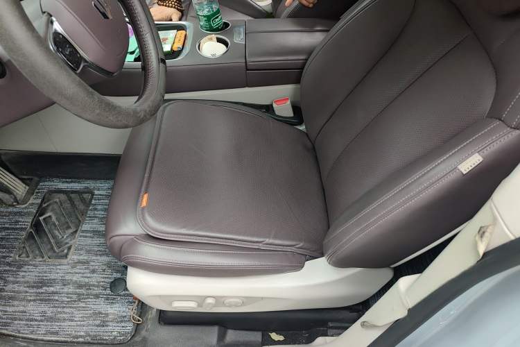Used Leapmotor C11 2023 Range-Extended 180 Comfort Edition Left Front Seat