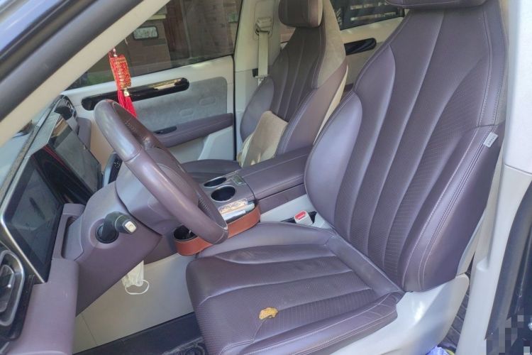 Used Leapmotor C11 2023 Extended-Range 285 Comfort Edition Left Front Seat