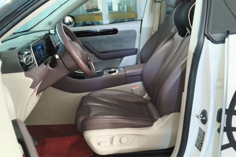 Used Leapmotor C11 2023 Range-Extended 180 Comfort Edition Left Front Seat