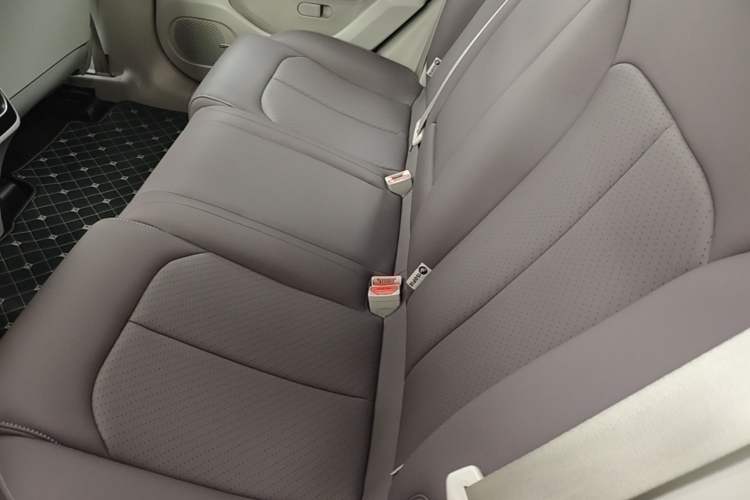 Used Leapmotor C11 2023 Range-Extended 300 Comfort Edition Left Rear Seat