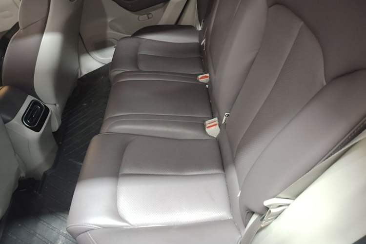 Used Leapmotor C11 2023 Range-Extended 300 Comfort Edition Left Rear Seat