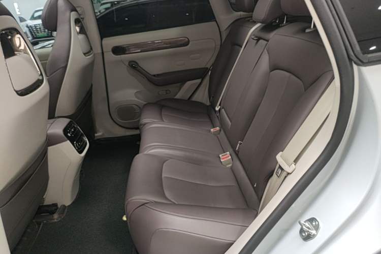 Used Leapmotor C11 2023 Range-Extended 300 Smart Enjoyment Edition Left Rear Seat