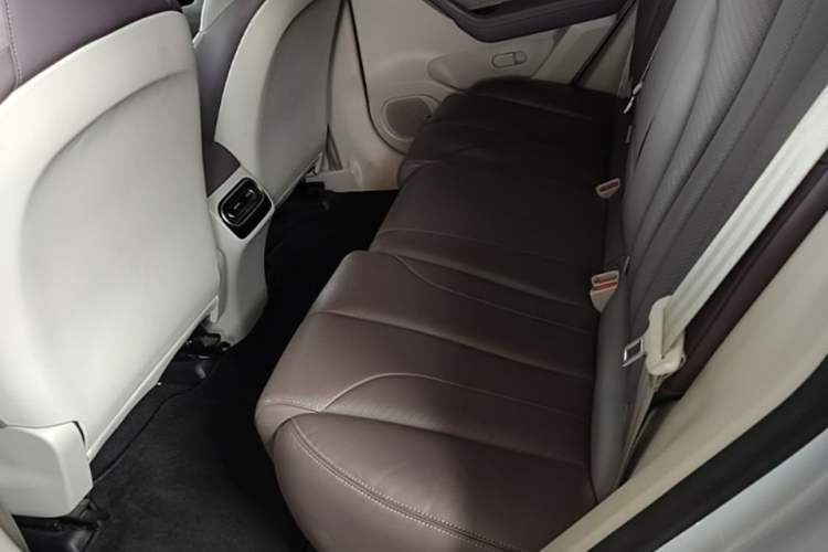 Used Leapmotor C11 2023 Range-Extended 180 Comfort Edition Left Rear Seat