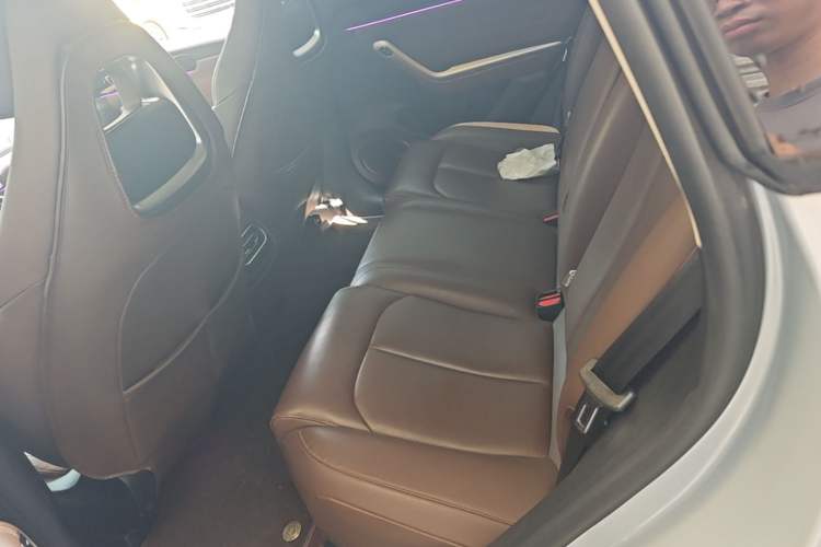 Used Leapmotor C11 2023 Extended-Range 285 Comfort Edition Left Rear Seat