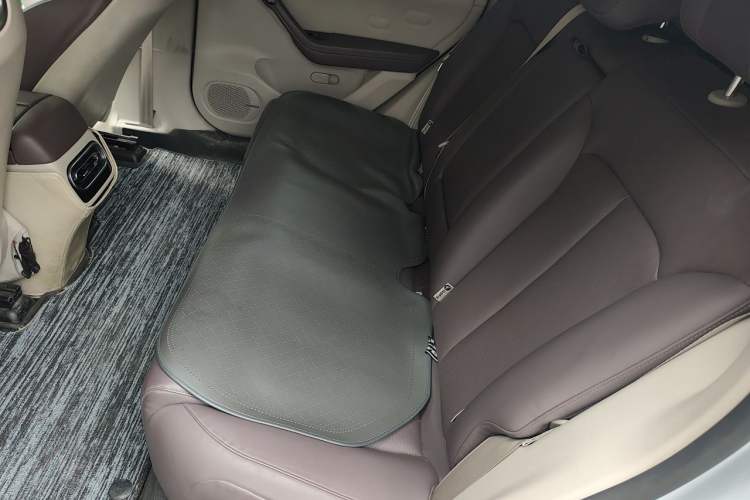 Used Leapmotor C11 2023 Range-Extended 180 Comfort Edition Left Rear Seat