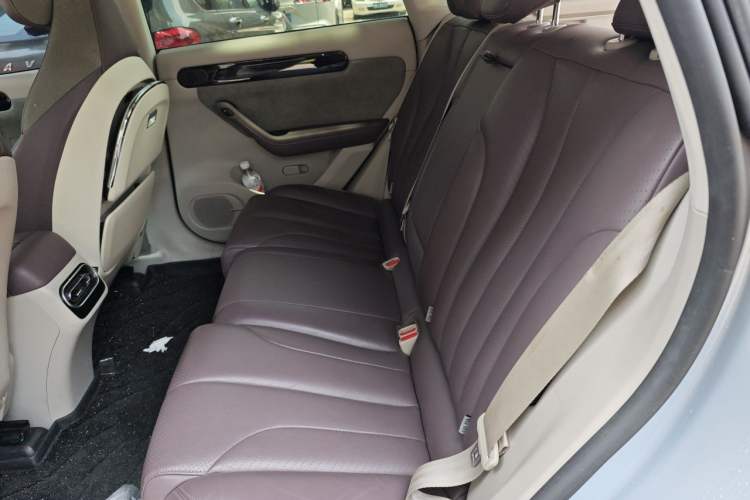 Used Leapmotor C11 2023 Range-Extended 180 Comfort Edition Left Rear Seat