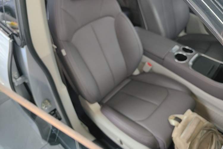 Used Leapmotor C11 2023 Range-Extended 180 Comfort Edition Right Front Seat