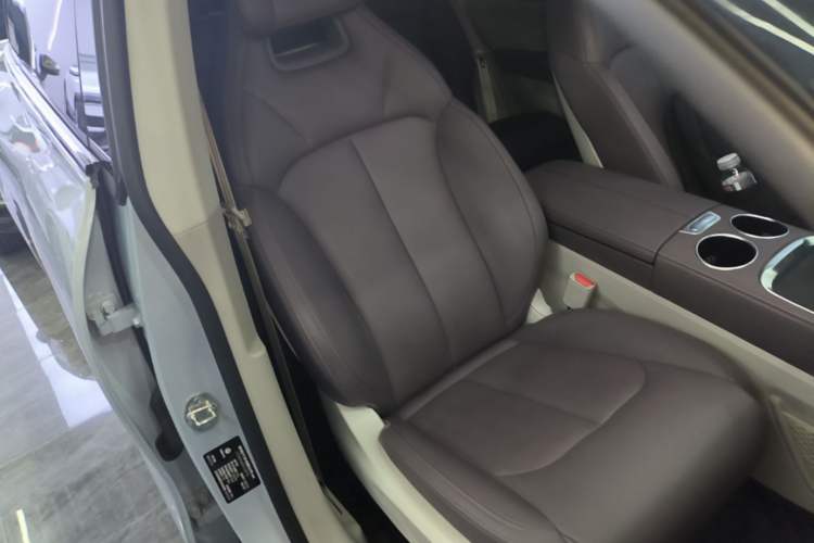 Used Leapmotor C11 2023 Range-Extended 300 Comfort Edition Right Front Seat