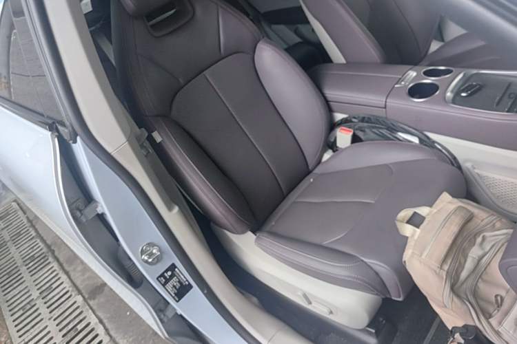 Used Leapmotor C11 2023 Pure Electric 500 Comfort Edition Right Front Seat