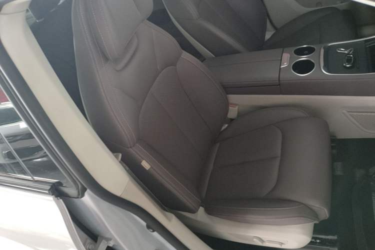Used Leapmotor C11 2023 Range-Extended 300 Comfort Edition Right Front Seat