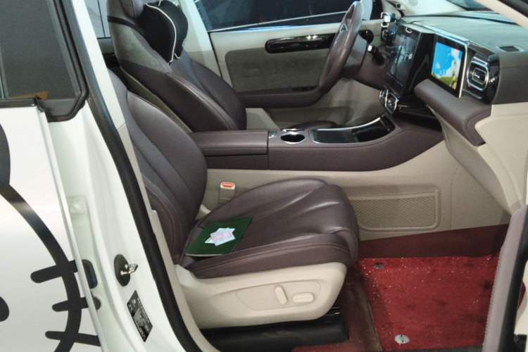 Used Leapmotor C11 2023 Range-Extended 180 Comfort Edition Right Front Seat