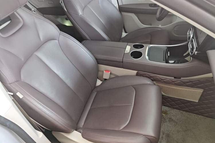 Used Leapmotor C11 2023 Range-Extended 180 Comfort Edition Right Front Seat