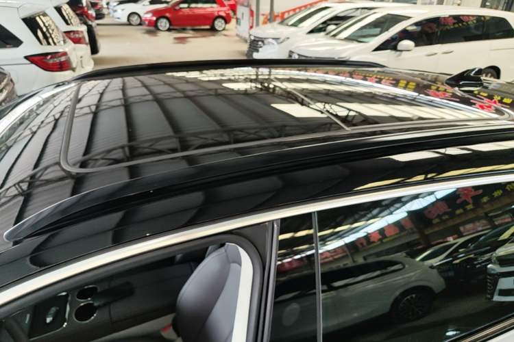 Used Leapmotor C11 2023 Pure Electric 500 Smart Edition Roof
