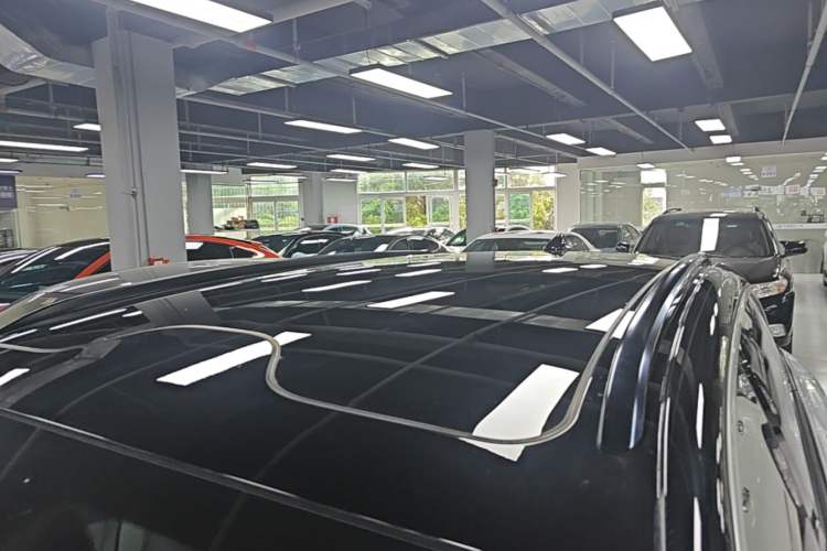 Used Leapmotor C11 2023 Pure Electric 500 Smart Edition Roof