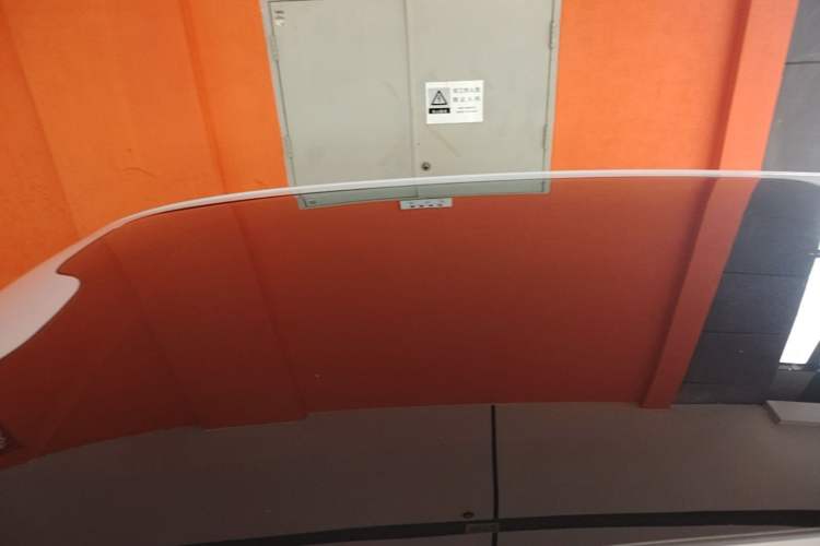 Used Leapmotor C11 2023 Pure Electric 500 Comfort Edition Roof