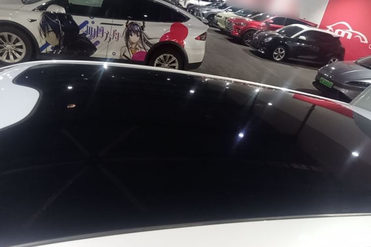 Used Leapmotor C11 2023 Pure Electric 500 Comfort Edition Roof