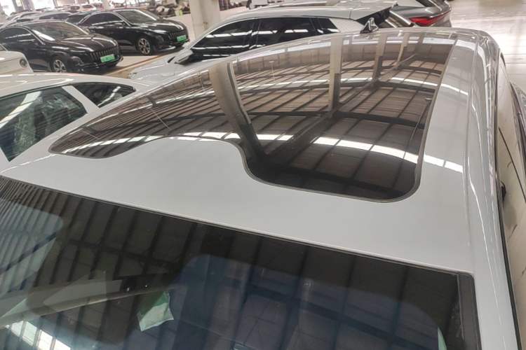 Used Leapmotor C11 2023 Pure Electric 500 Comfort Edition Roof