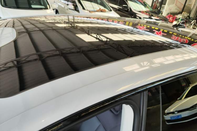 Used Leapmotor C11 2023 Pure Electric 500 Comfort Edition Roof