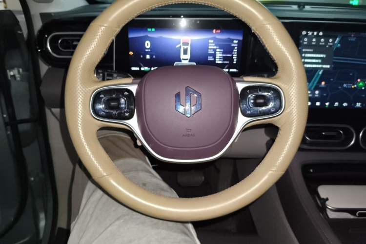 Used Leapmotor C11 2023 Range-Extended 180 Comfort Edition Steering Wheel