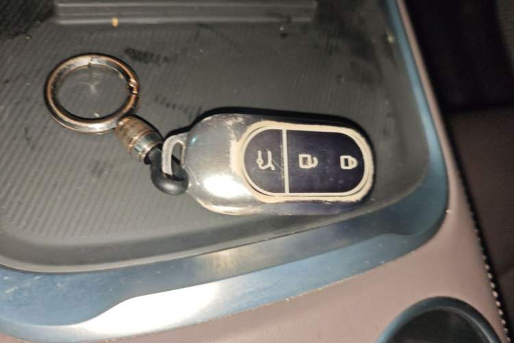 Used Leapmotor C11 2023 Range-Extended 180 Comfort Edition Vehicle Key