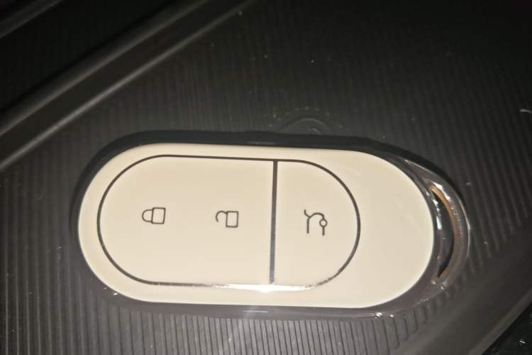 Used Leapmotor C11 2023 Pure Electric 500 Smart Edition Vehicle Key
