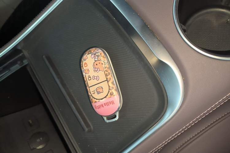 Used Leapmotor C11 2023 Range-Extended 300 Comfort Edition Vehicle Key