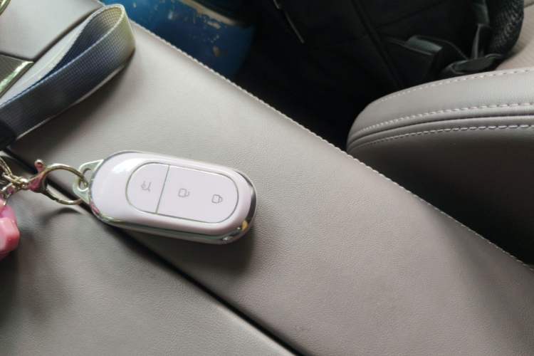 Used Leapmotor C11 2023 Range-Extended 285 Smart Enjoyment Edition Vehicle Key