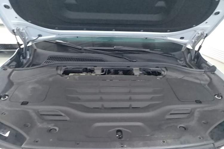 Used Leapmotor C11 2023 Pure Electric 500 Smart Edition Engine Bay