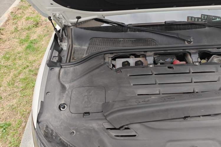 Used Leapmotor C11 2023 Pure Electric 500 Comfort Edition Engine Bay Right