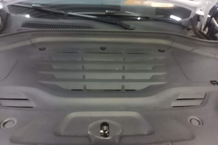Used Leapmotor C11 2023 Pure Electric 500 Comfort Edition Engine Bay