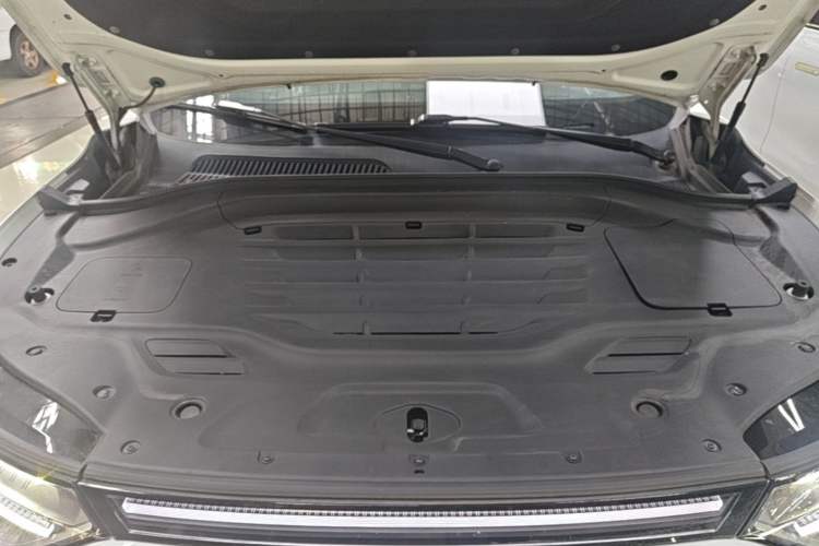 Used Leapmotor C11 2023 Pure Electric 500 Smart Edition Engine Bay