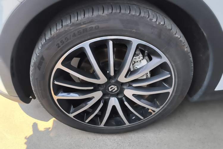 Used Leapmotor C11 2023 Pure Electric 500 Smart Edition Exterior 4