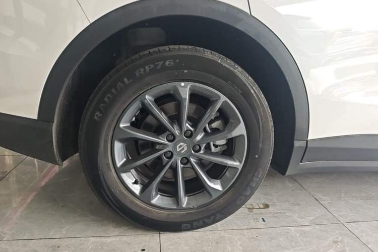 Used Leapmotor C11 2023 Range-Extended 180 Comfort Edition Exterior 5