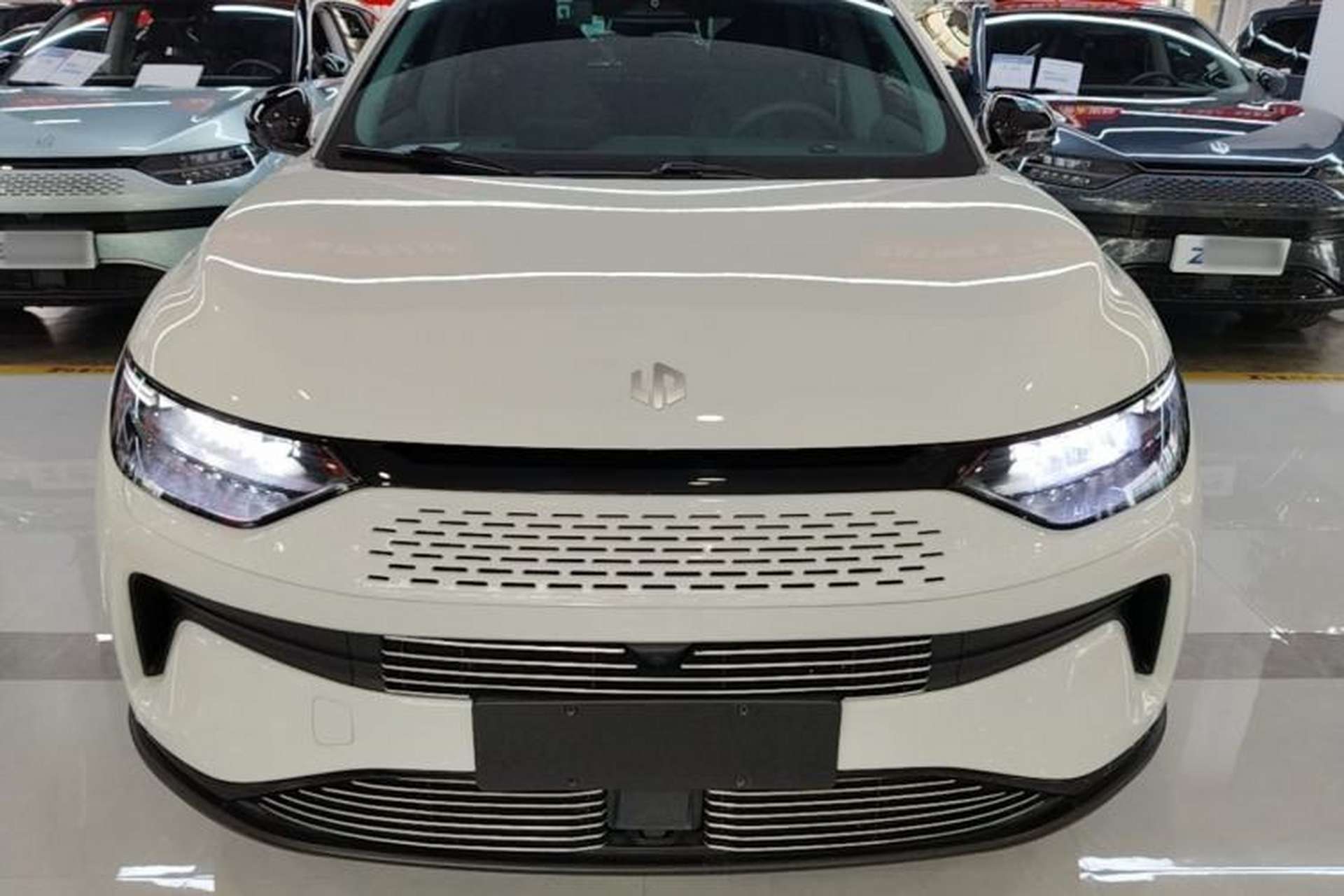 Used Leapmotor C11 2023 Extended-Range 285 Comfort Edition Front