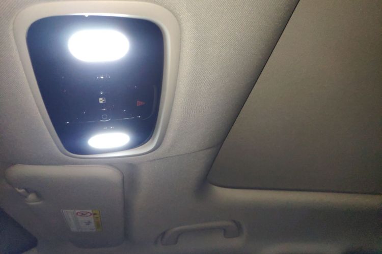 Used Leapmotor C11 2023 Pure Electric 500 Zhixing Edition Headliner