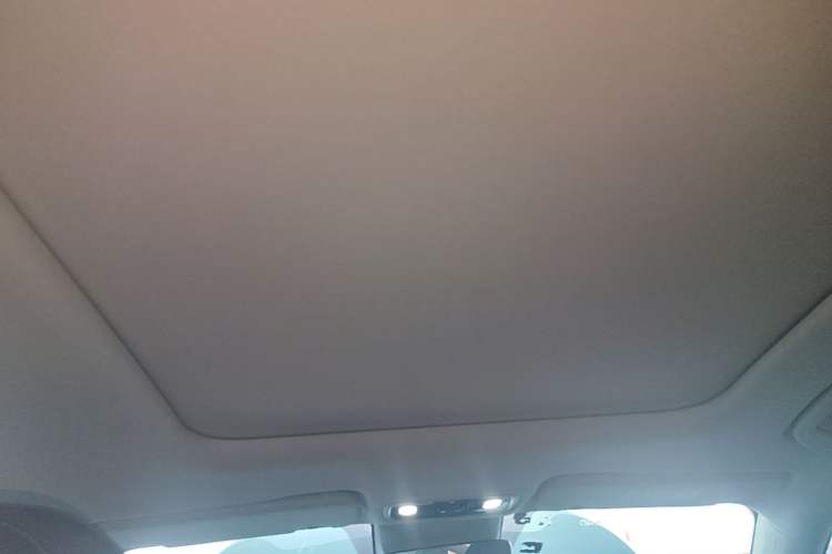 Used Leapmotor C11 2023 Range-Extended 200 Comfort Edition Headliner