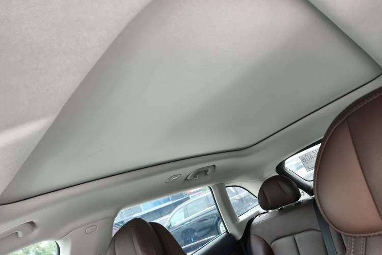 Used Leapmotor C11 2023 Range-Extended 180 Comfort Edition Headliner