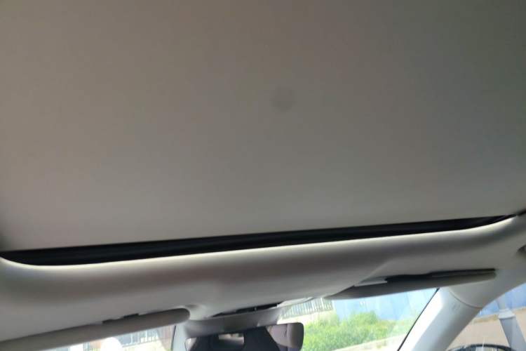 Used Leapmotor C11 2023 Range-Extended 300 Comfort Edition Headliner