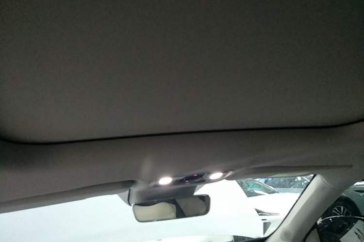Used Leapmotor C11 2023 Pure Electric 500 Smart Edition Headliner