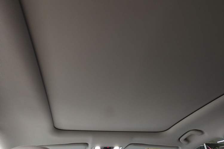 Used Leapmotor C11 2023 Range-Extended 285 Smart Enjoyment Edition Headliner