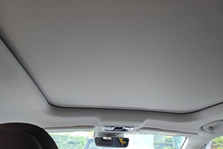 Used Leapmotor C11 2023 Pure Electric 500 Smart Edition Headliner