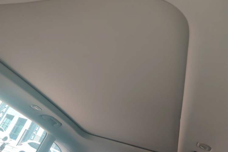 Used Leapmotor C11 2023 Pure Electric 500 Comfort Edition Headliner