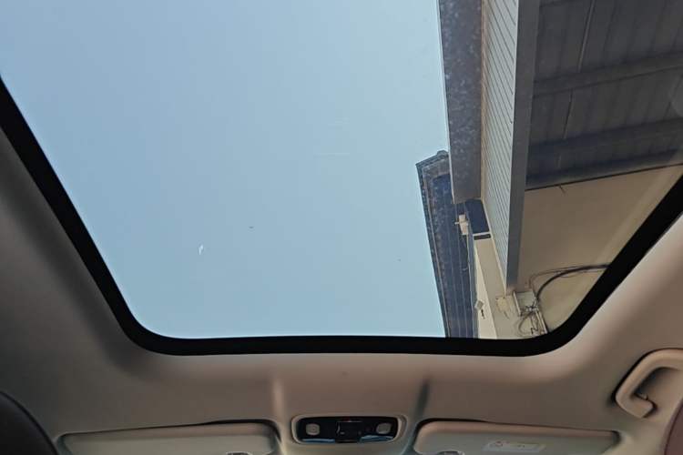 Used Leapmotor C11 2023 Pure Electric 500 Smart Edition Headliner